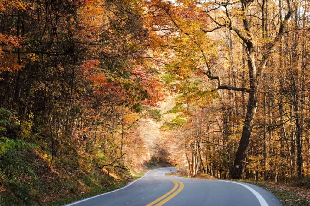 An image of driving down a winding, West Virginia road should be on your Fall bucket list
