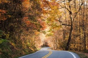 An image of driving down a winding, West Virginia road should be on your Fall bucket list